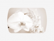 Стол Можгинский лесокомбинат Бостон-2 ф/п Лунная орхидея, 1100700 мм, венге/хром брифинг