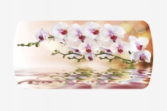 Стол Бостон-3 раздвижной, фотопечать Орхидея на воде/белый/хром триумф