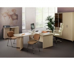 Набор мебели для руководителя Альтерна Премиум Набор 2 Венге