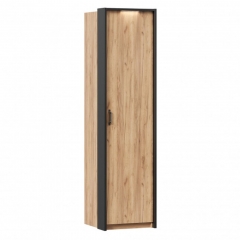 Техно Шкаф одностворчатый с паспарту Любимый дом Техно 01 Дуб Золотой